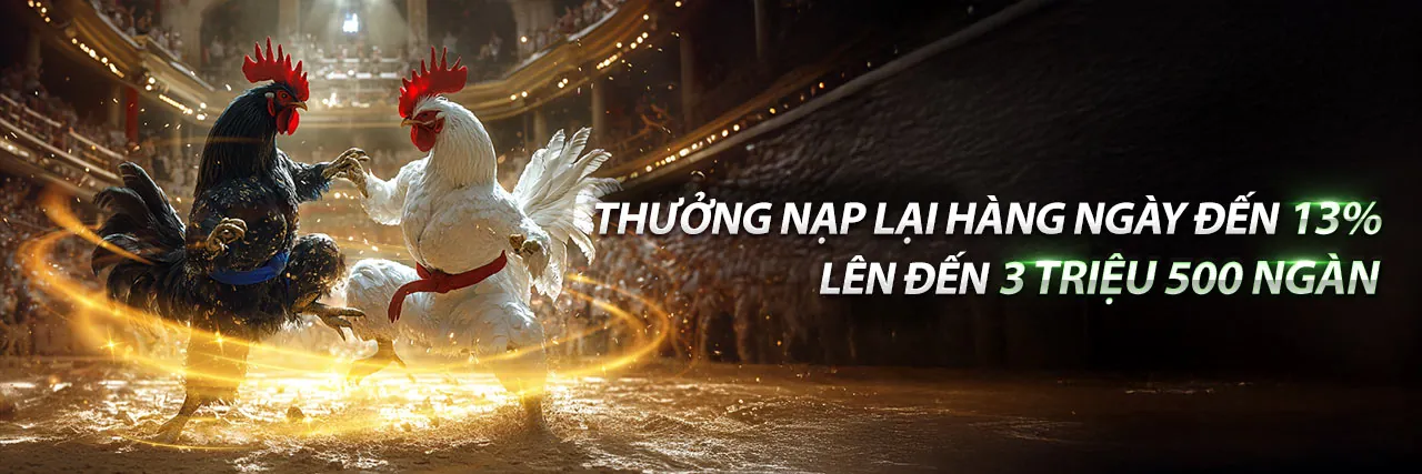 Đá Gà Thomo 3/9 – Sân đấu gà trực tuyến kịch tính